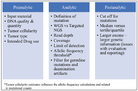 Factors influencing the estimation of tumor mutational burden.