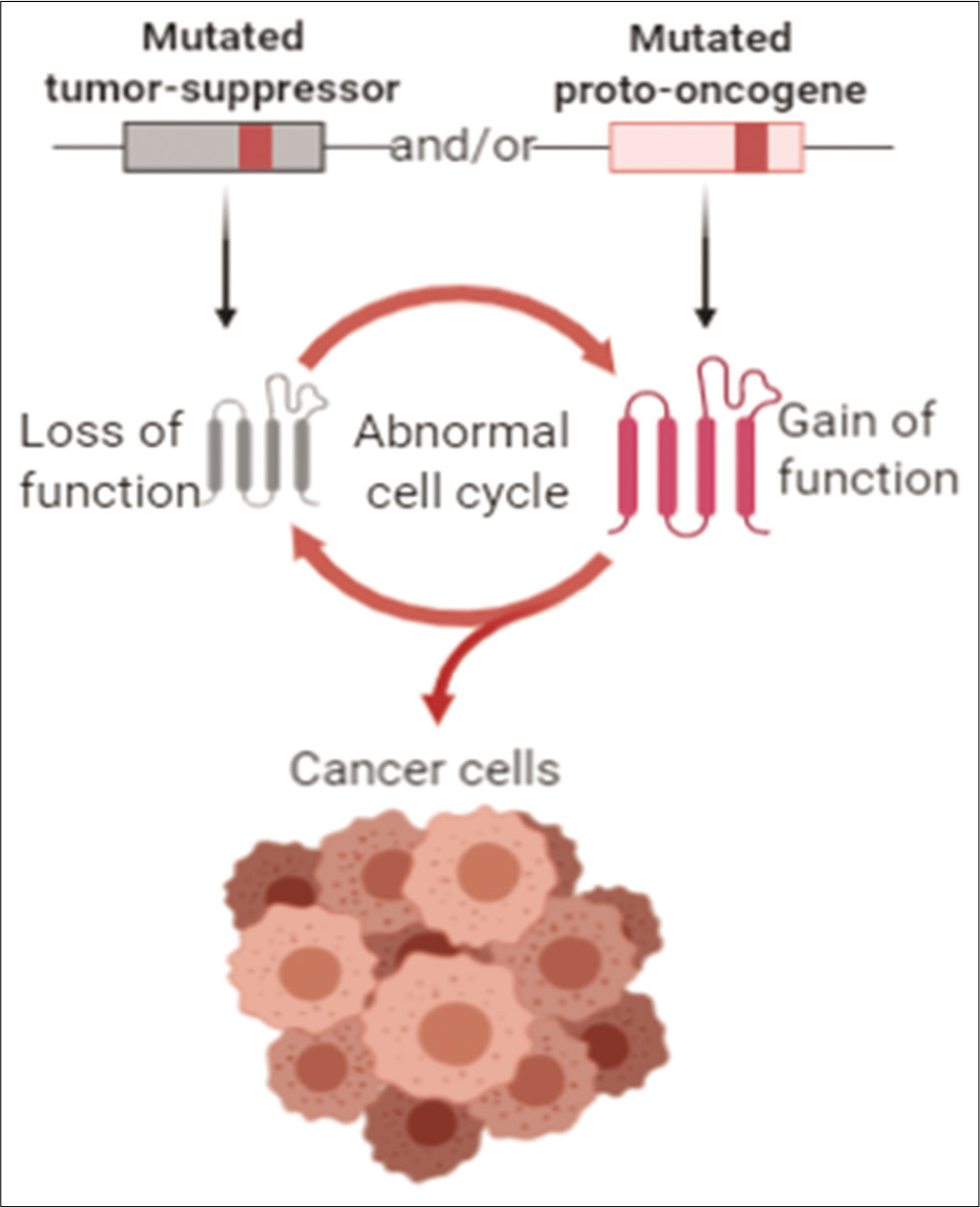 Driver mutations in oncogenesis International Journal of Molecular