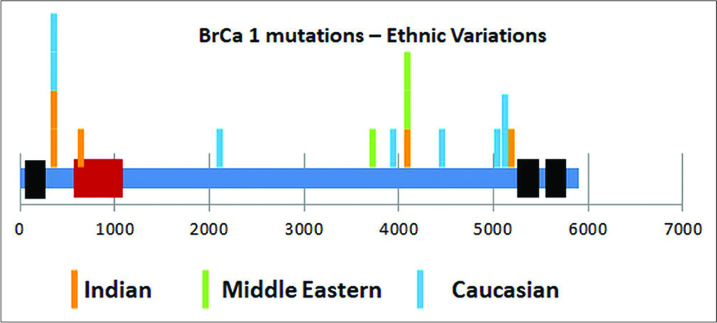 Ethnic comparison of location of pathogenic mutations in BrCa1 gene.