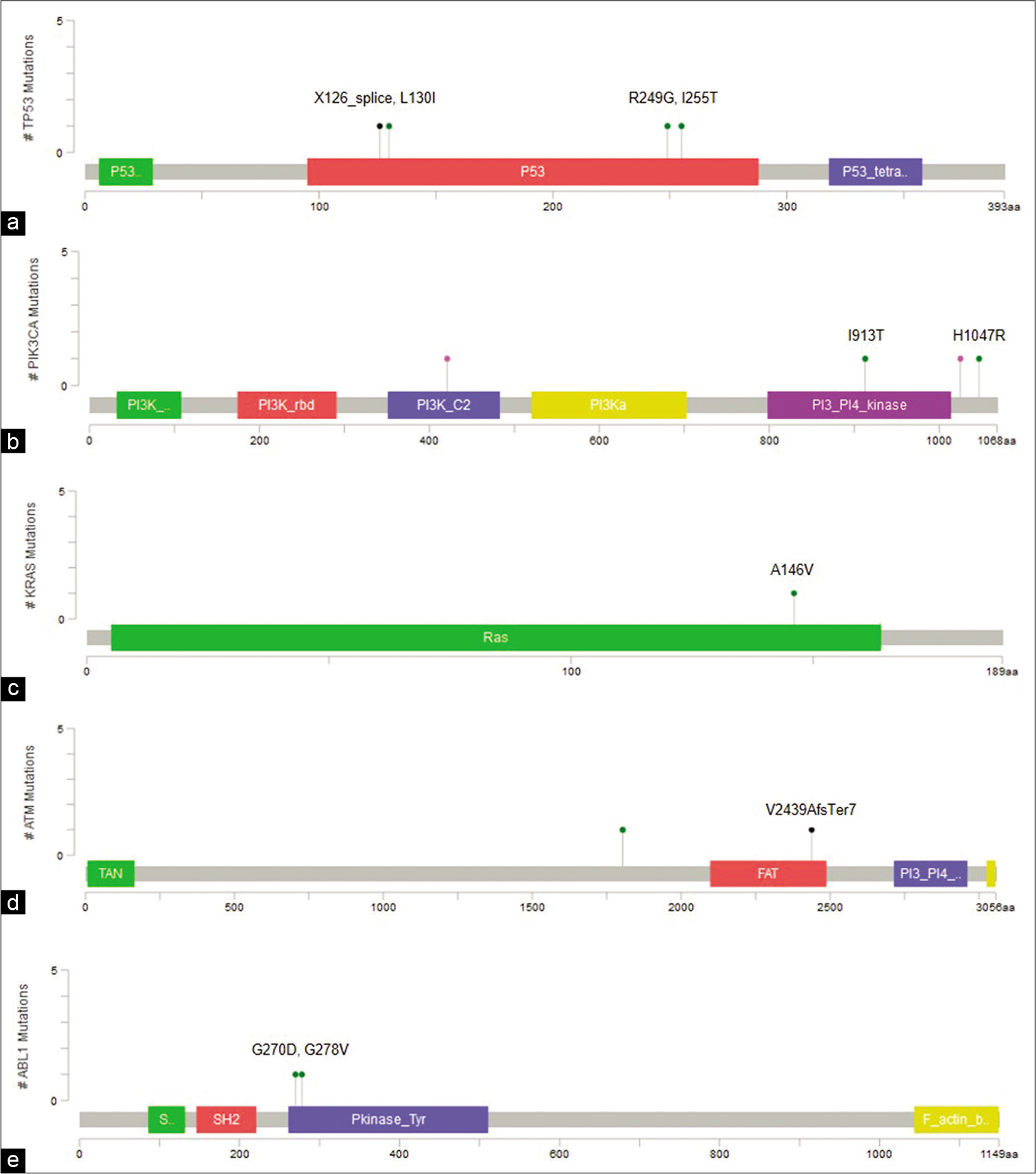 Visualization of variants in protein coding regions of genes using MutationMapper. (a) TP53 (p.X126_splice, p.L130I,p.R249G, p.I255T), (b) PIK3CA (p.I913T, p.H1047R), (c) KRAS (p.A146V), (d) ATM (p.V2439AfsTer7), (e) ABL1 (p.G270D, p.G278V).