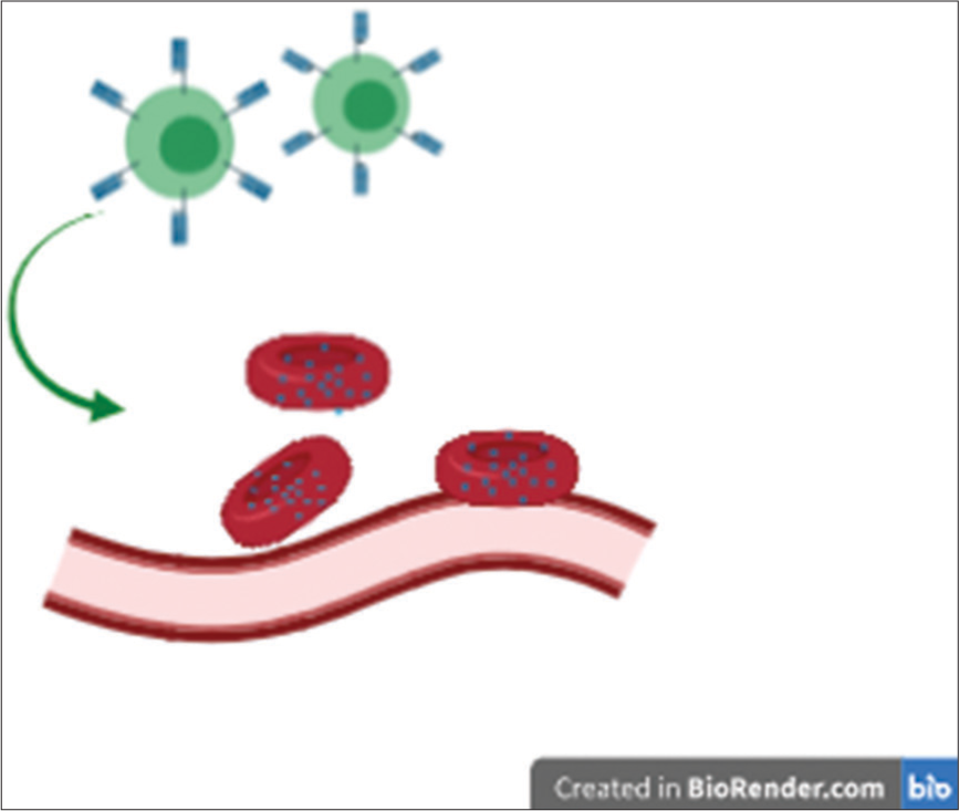 Erythrocyte anchored systemic immunotherapy uses chemoattractant molecules to recruit immune cells via a piggy-back approach on natural red blood cells.