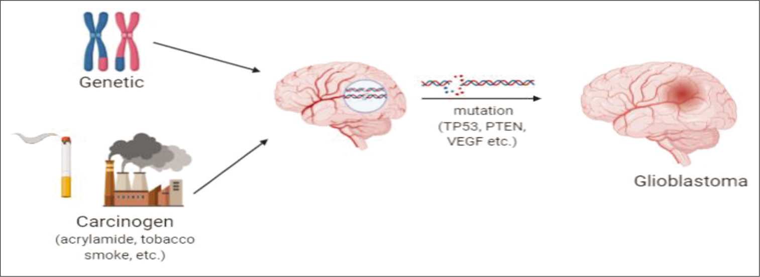 Carcinogens undergoing mutation, resulting in the formation of glioblastoma.