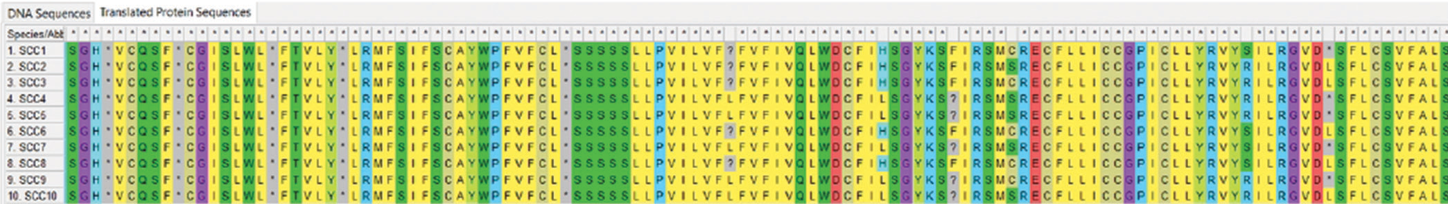 Amino acid alignments showing regions of functional mutations as a result of single nucleotide polymorphism mutation along the p53 gene regions. SCC: Squamous cell carcinoma