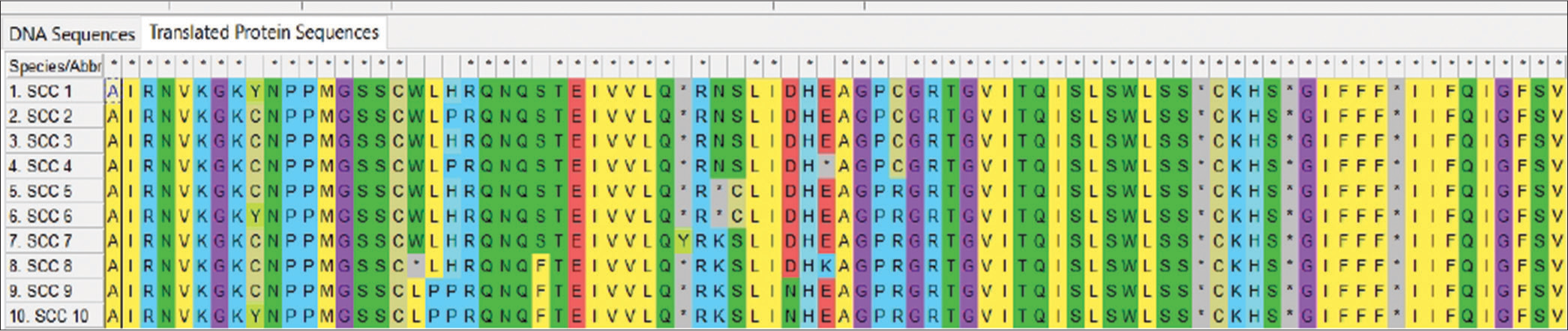 Amino acid alignments showing regions of functional mutation as a result of single nucleotide polymorphism mutation along the retinoblastoma gene. SCC: Squamous cell carcinoma