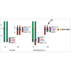 Article figure